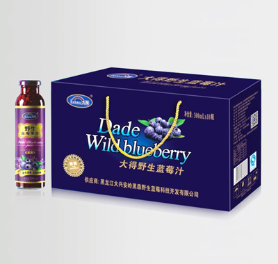 300ml��10ƿ�����װ��Ұ����ݮ֭