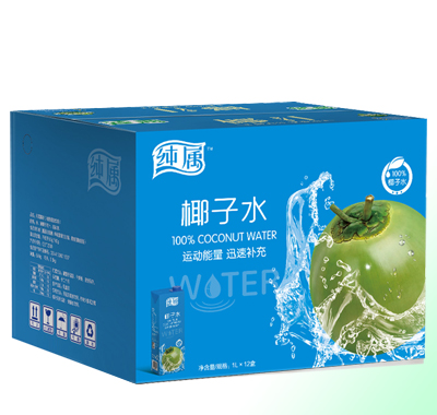 椰子水1L×12
