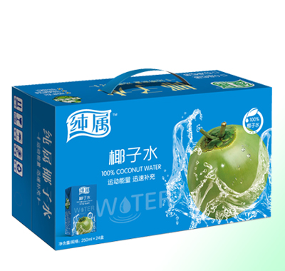 椰子水250mlx24