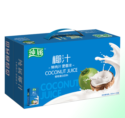 椰汁250mlx24